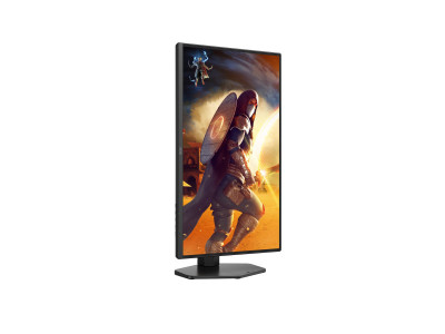 AOC : AOC MONITOR 24 IPS 300HZ 2560X1440 QHD 0.3MS 16:9 1000:1