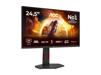 AOC : AOC MONITOR 24 IPS 300HZ 2560X1440 QHD 0.3MS 16:9 1000:1