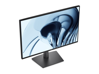 Dell : DELL PRO P 24IN 16:10 MONITOR P 2426