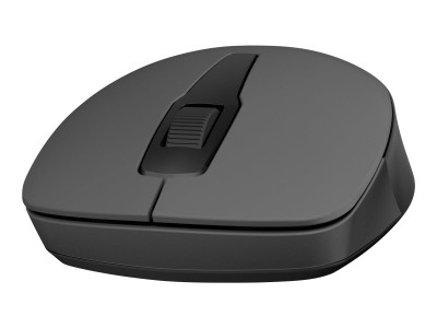 HP : HP 150 WRLS MOUSE - ENGLISH LOC ALIZATION