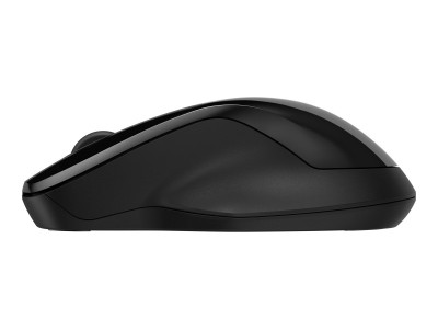 HP : HP 250 DUAL WIRELESS MOUSE EURO