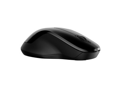 HP : HP 250 DUAL WIRELESS MOUSE EURO