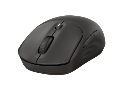 HP : HP 405 QUIET BLK WIRELESS MOUSE EMEA - INTL ENGLISH LOC EURO PLU