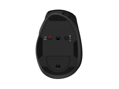 HP : TILT ERGONOMIC MOUSE 725M