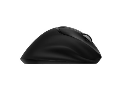 HP : TILT ERGONOMIC MOUSE 725M