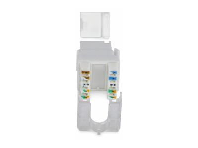 Startech : CAT6 UTP KEYSTONE JACK 24-PACK180-DEGREE 110 PUNCH DOWN