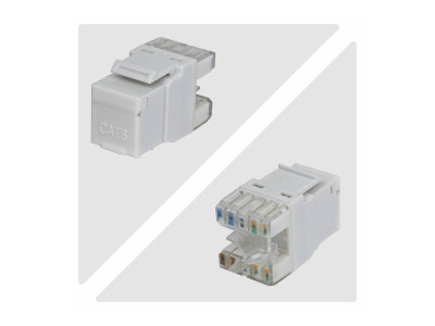 Startech : CAT6 UTP KEYSTONE JACK 24-PACK180-DEGREE 110 PUNCH DOWN