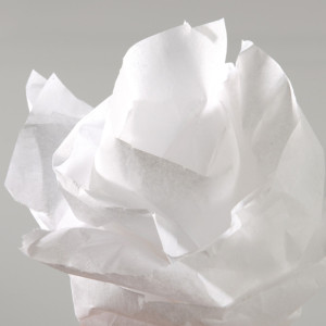 CANSON Papier de soie, 0,5 x 5,0 m, 20 g/m, beige