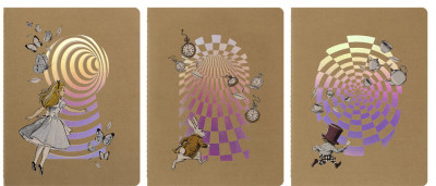 MOLESKINE Cahier 