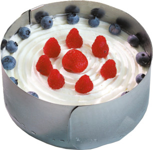 metaltex Anneau à gâteau, inox, réglable