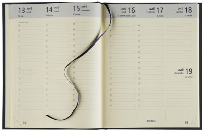 brepols Agenda semainier Optivision Large FR, 2027, assorti