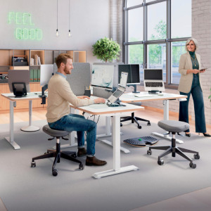 LEITZ Cloison acoustique, (L)600 x (P)12 x (H)700 mm, gris