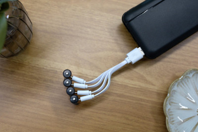 ANSMANN Premium Li-Ion Akku Micro AAA mit USB-C Kupplung