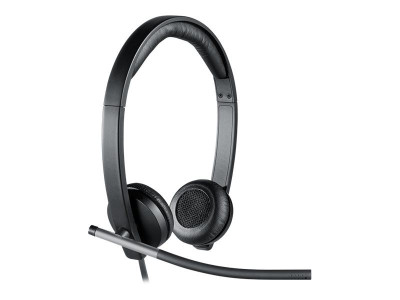 Logitech : LOGITECH USB HEADSET STE H650E T094 - SPRUCE BP