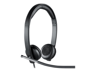 Logitech : LOGITECH USB HEADSET STE H650E T094 - SPRUCE BP