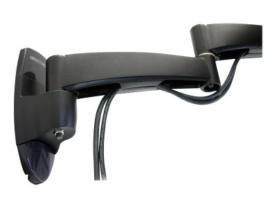 Ergotron : 200 SERIES WALL MOUNT ARM 2 EXTENSIONS