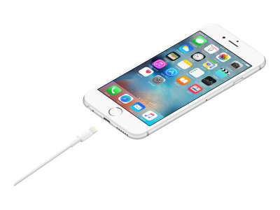 Apple : LIGHTNING TO USB cable (2 M) .