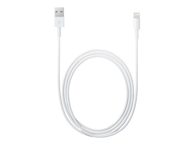 Apple : LIGHTNING TO USB cable (2 M) .