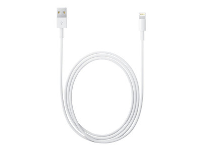 Apple : LIGHTNING TO USB cable (2 M) .
