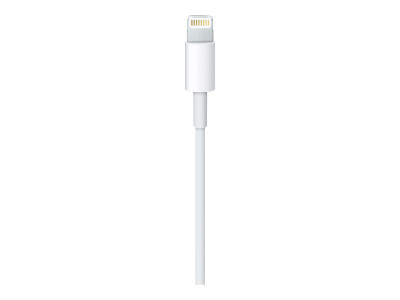 Apple : LIGHTNING TO USB cable (2 M) .