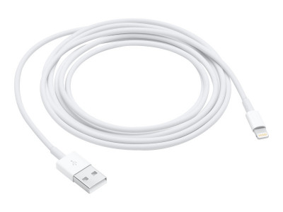 Apple : LIGHTNING TO USB cable (2 M) .