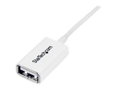 Startech : CABLE RALLONGE USB 1M - cable USB 2.0 A- MALE FEMELLE - BLANC