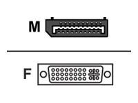 V7 : V7 DISPLAYPORT-DVI ADAPTER-BLK M pour VGA SVGA SXGA UXGA HDTV1080P