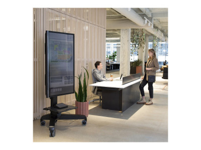 Ergotron : NEOFLEX MOBILE MEDIACENTER VHD PORTRAIT/LANDSCAPE Noir (42.50kg)