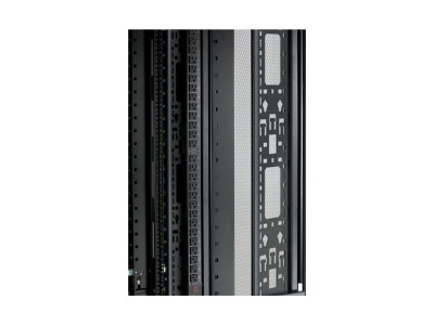 APC NetShelter SX - enveloppe serveur 19P - 42U - 600x1070mm - noir