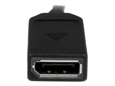 Startech : CABLE ADAPTATEUR DMS 59 (LFH) VERS 2X DISPLAYPORT - 20CM