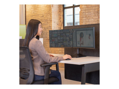 Ergotron : DOUBLE MONITOR HORZ STAND BLACK