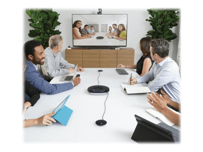 Logitech : EXTENSION MICRO pour GROUP CAM GROUP-3.5 MM-AMR