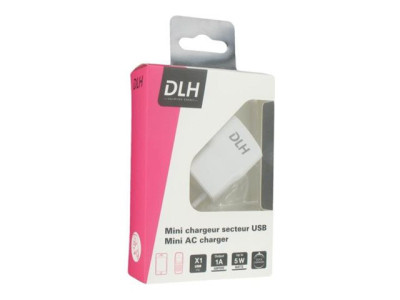 DLH : CHARGERS UNIV AREA LOW POWER 5W USB pour GSM OR SMARTPHONE