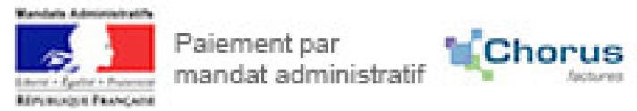 Achat imprimante, cartouche d'encre, toner et matériel informatique avec mandat administratif Chorus