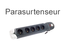 Parasurtenseur