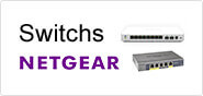 Switch Netgear